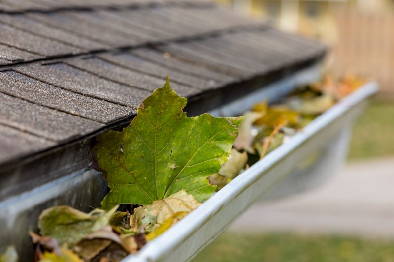 Long-Term Gutter Maintenance